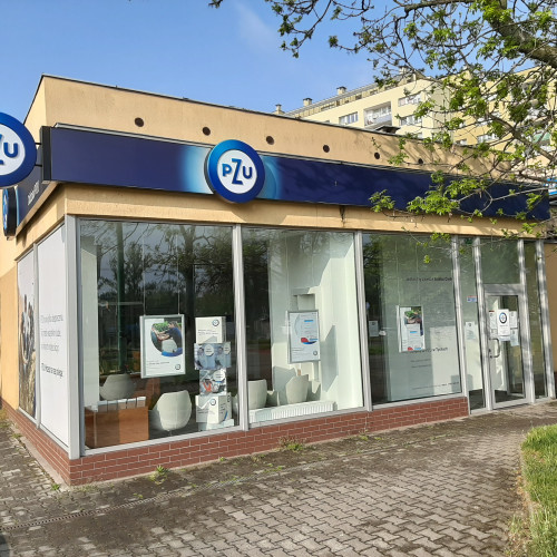 Oddział Tychy-Dmowskiego